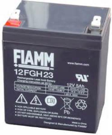 Batteria VRLA AGM Fiamm 12V