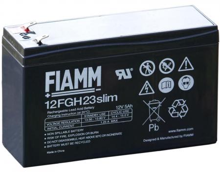 Batteria VRLA AGM Fiamm 12V