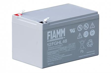 Batteria VRLA AGM Fiamm 12V