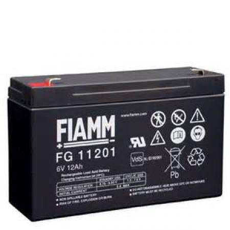 Batteria VRLA AGM Fiamm 6V