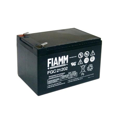 Batteria VRLA AGM Fiamm 12V